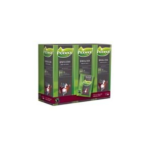 Pickwick professional Engelse thee fairtrade 2gr