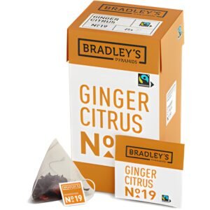Bradley's pyramids ginger citrus No.19 2gr