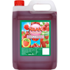 Raak siroop framboos 5lt